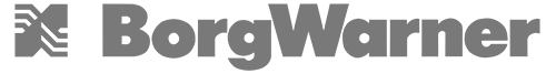 BorgWarner logo logotype